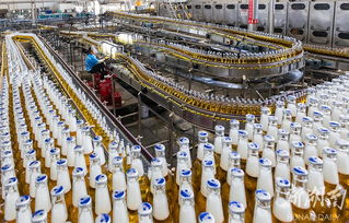 華潤雪花啤酒湘西工廠 旺季生產“火力全開”，推動區域產業升級